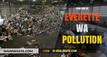 Everett, WA Pollution: A Troubling Reality Check