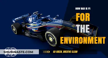 F1's Environmental Impact: Racing Towards Sustainability or Climate Crisis?