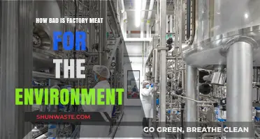 Factory Meat's Environmental Impact: A Shocking Truth Revealed