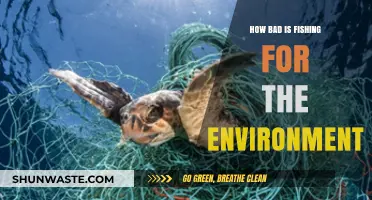 Fishing's Environmental Impact: Uncovering the Hidden Costs of Our Oceans