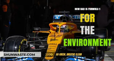 Formula 1's Environmental Impact: Racing Towards Sustainability or Disaster?
