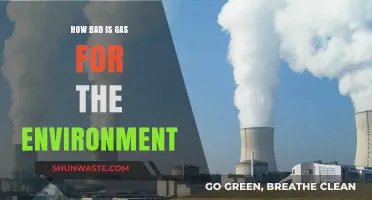 The Environmental Impact of Gas: A Comprehensive Analysis