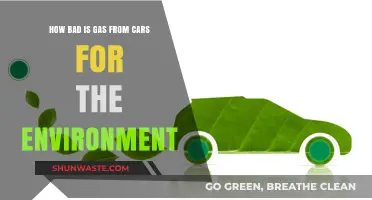 Car Emissions: Environmental Impact and the Road to Cleaner Air