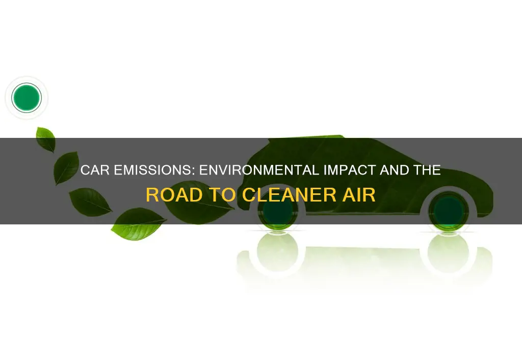 how bad is gas from cars for the environment