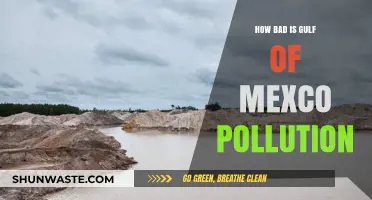 Gulf of Mexico Pollution: A Crisis Unveiled