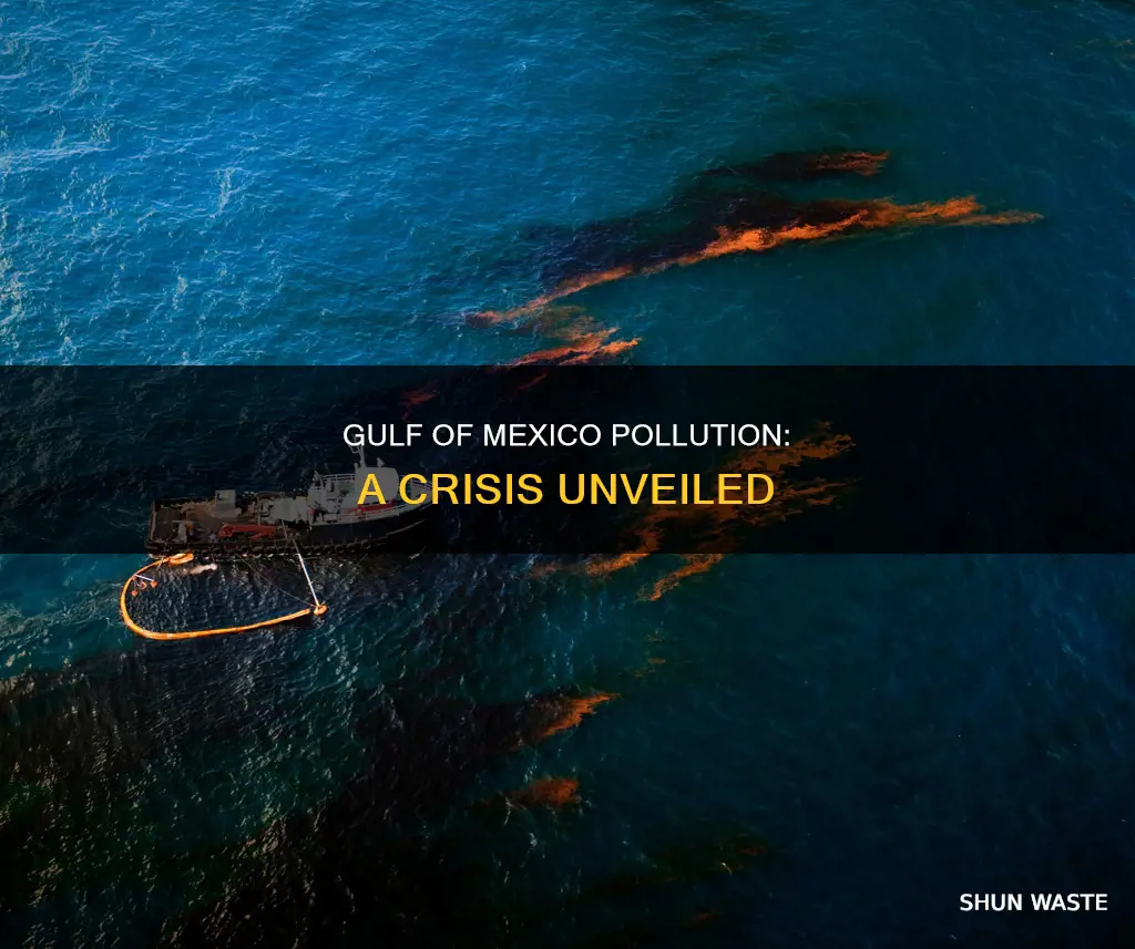 how bad is gulf of mexco pollution