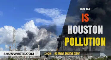Houston's Pollution Problem: A Critical Analysis