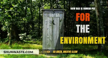 Human Urine's Environmental Impact: A Surprising Ecological Concern