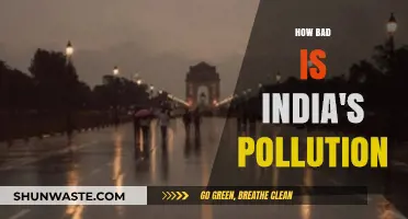 India's Pollution Crisis: A Deadly Threat