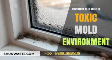 Sleeping with Mold: The Hidden Dangers of Toxic Exposure