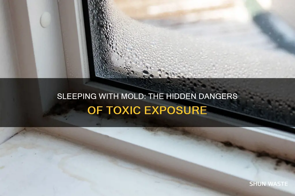 how bad is it to sleep in toxic mold environment