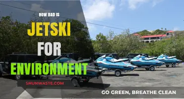 Jet Skis' Environmental Impact: Pollution, Wildlife, and Ecosystem Concerns