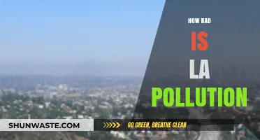 LA's Pollution Problem: How Bad Is It?