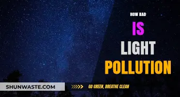 Light Pollution: A Dark Side of Development