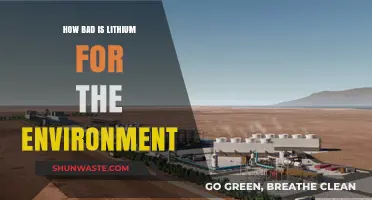 Lithium's Environmental Impact: Uncovering the Hidden Costs of Green Energy