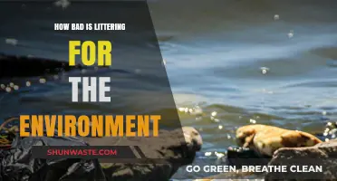 Littering's Devastating Impact: How Trash Destroys Our Environment and Wildlife