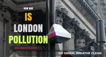 London's Pollution Problem: A Dire Situation