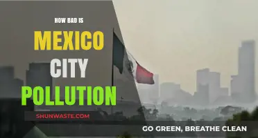 Mexico City's Pollution: A Health Crisis?