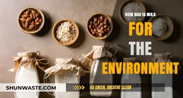 Milk's Environmental Impact: Uncovering the Hidden Costs of Dairy Production