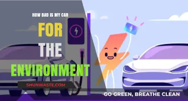 Your Car's Environmental Impact: Uncovering the Hidden Costs of Driving