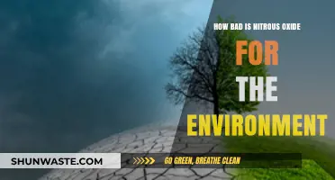 Nitrous Oxide's Environmental Impact: A Hidden Climate Threat Explained