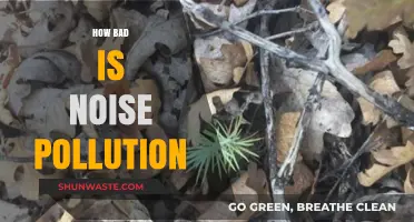 Noise Pollution: A Harmful, Overlooked Crisis
