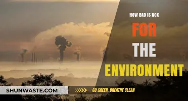 Noxious Nox: Unveiling the Environmental Impact of Nitrogen Oxides