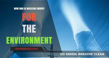 Nuclear Energy's Environmental Impact: Debunking Myths and Assessing Real Risks