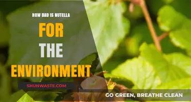 Nutella's Environmental Impact: Uncovering the Hidden Costs of a Sweet Treat