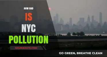 The Dark Side of NYC: Pollution's Heavy Toll