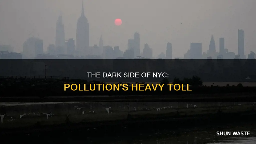 how bad is nyc pollution