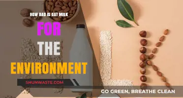 Oat Milk's Environmental Impact: Sustainable Choice or Eco-Friendly Myth?