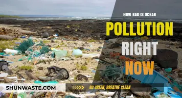 Ocean Pollution: A Crisis Unfolding
