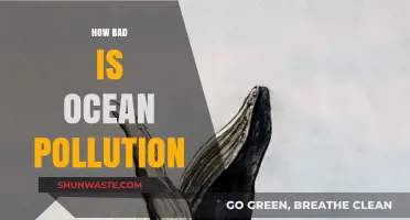 Ocean Pollution: A Crisis Unveiled