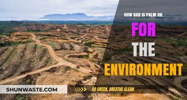 Palm Oil's Environmental Impact: Uncovering the Devastating Truth