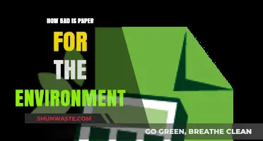 Paper's Environmental Impact: Uncovering the Hidden Costs of Daily Use