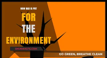 The Environmental Impact of PBT: A Comprehensive Analysis