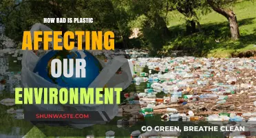 Plastic's Devastating Impact: Uncovering Environmental Consequences and Urgent Solutions