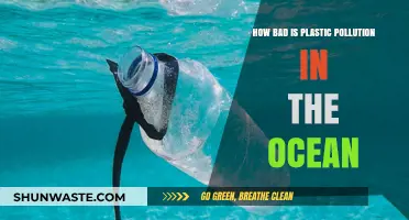 Ocean Plastic Pollution: An Urgent Ecological Crisis