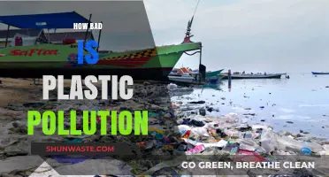 Plastic Pollution: A Growing Global Crisis