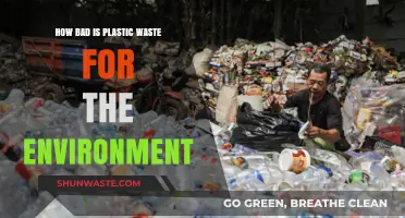 Plastic Waste Crisis: Devastating Environmental Impacts and Urgent Solutions Needed