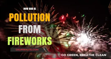 Fireworks' Pollution: A Festive Hazard