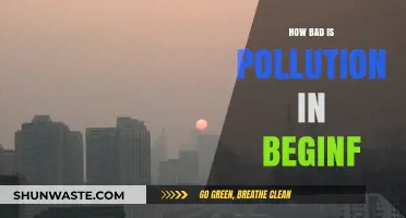 Pollution in Beijing: A City Choking on Smog