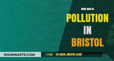 Bristol's Pollution: A City's Battle