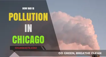 Chicago's Pollution Problem: A Critical Analysis