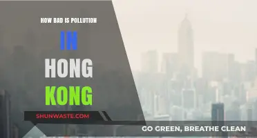 Hong Kong's Pollution: A Critical Condition