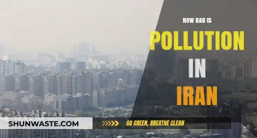 Iran's Pollution Crisis: A Critical Analysis