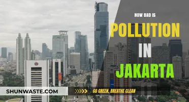 Jakarta's Pollution Crisis: A Dire Situation
