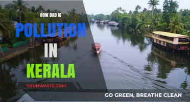 Kerala's Pollution Problem: A Growing Concern