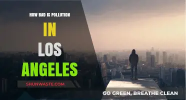 Los Angeles Pollution: A City's Battle with Air Quality